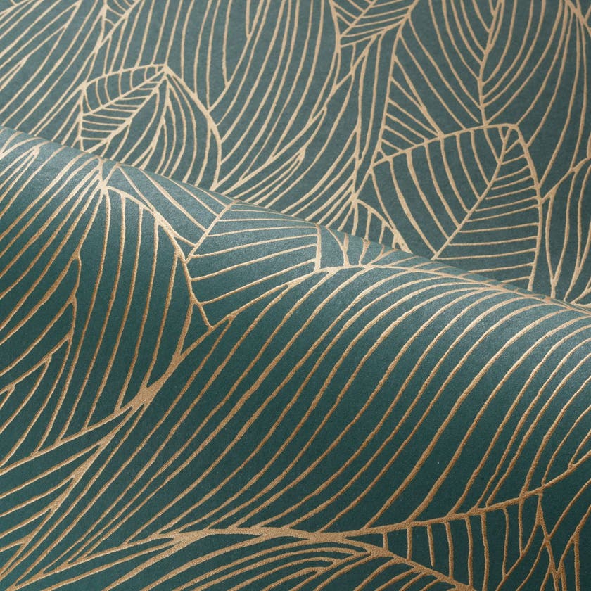 Casamance - Hosta Jaspe/Doré Jardin Félicia
