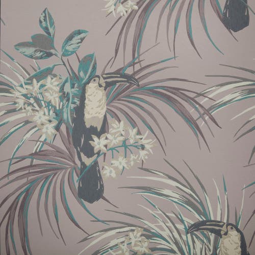 Carma - Le Toucan NW Elodie