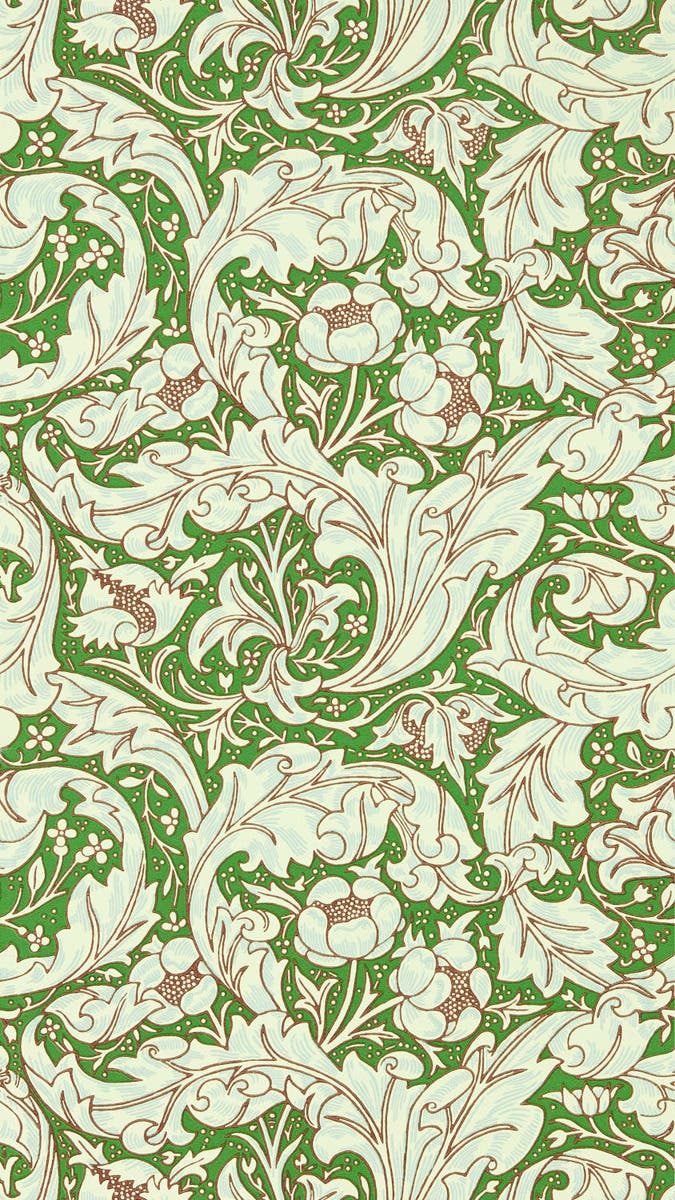 Bachelors Button Leaf Gre Cornubia Wallpapers