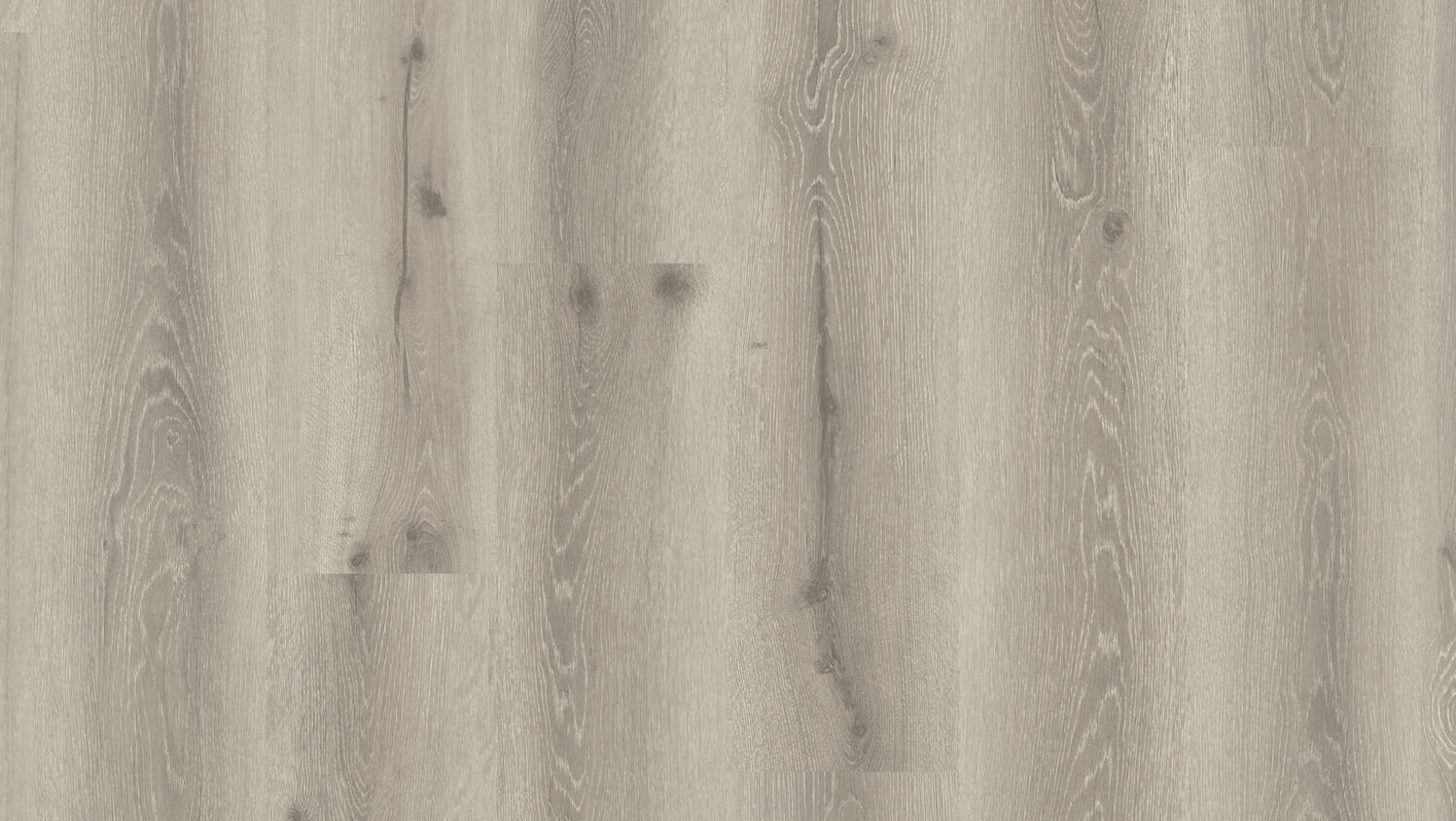 Limousin Oak Grege