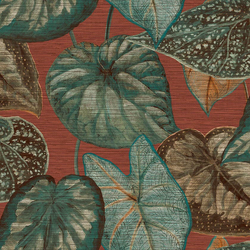 Tropical Leaves