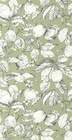 LEMON TREE ARGILE VERTE SOLIFLORE