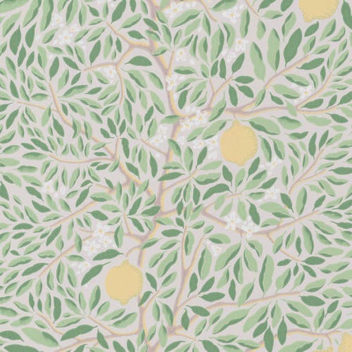 Citrus Ashy Greenery Norrviva