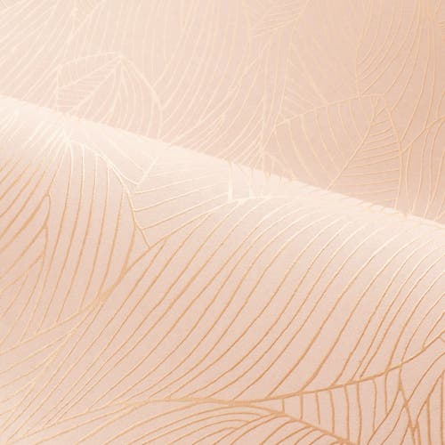 Casamance - Hosta Rose Poudré/Doré Jardin Félicia