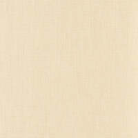 SHINOK COQUILLE LE LIN 2