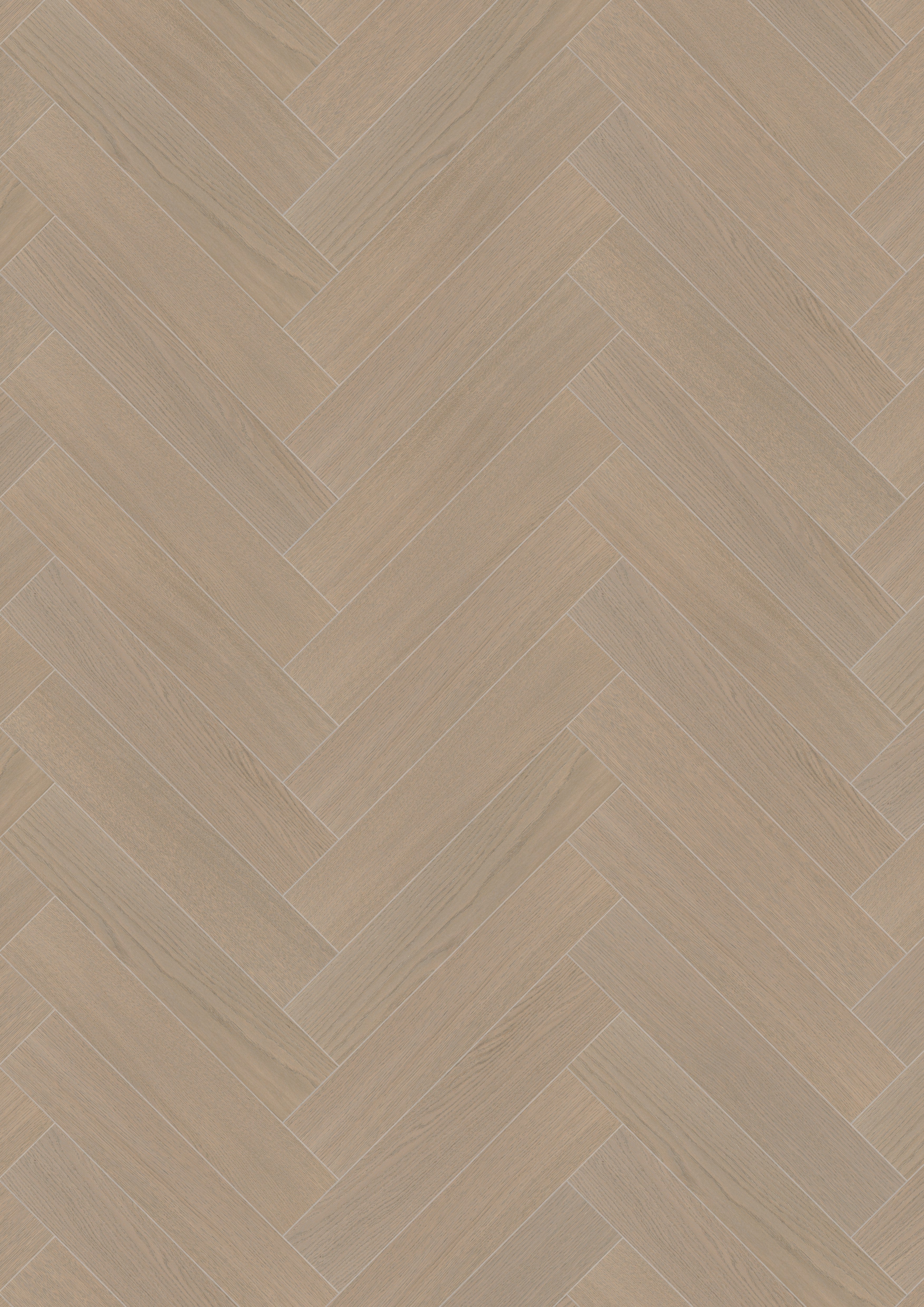 Maxwood Jazz - Ek Dimgrå