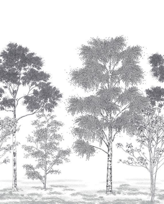 Caselio - Poesie Printaniere Noir 2 Balade