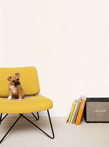 Caselio - Uni Mat Gris Lin Clair Damier