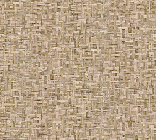 Intrade - Jungle Chic