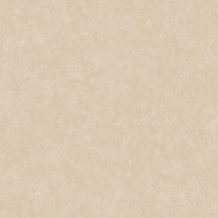 Caselio - Uni Mat Beige Argile Ceramique