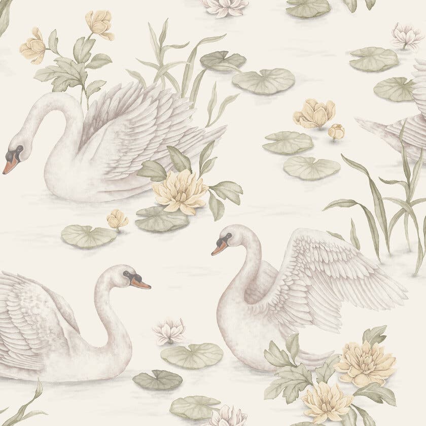 Lily Swan Newbie