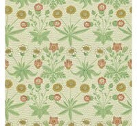 Daisy Artichoke/Plaster Morris 160th Anniversary (Outlet)