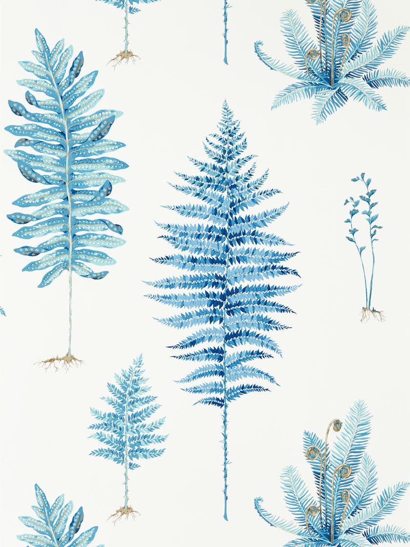 Sanderson - Fernery China Blue Glasshouse Wallpapers