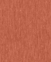 SO COLOR 4 UNI ORANGE SO COLOR 4