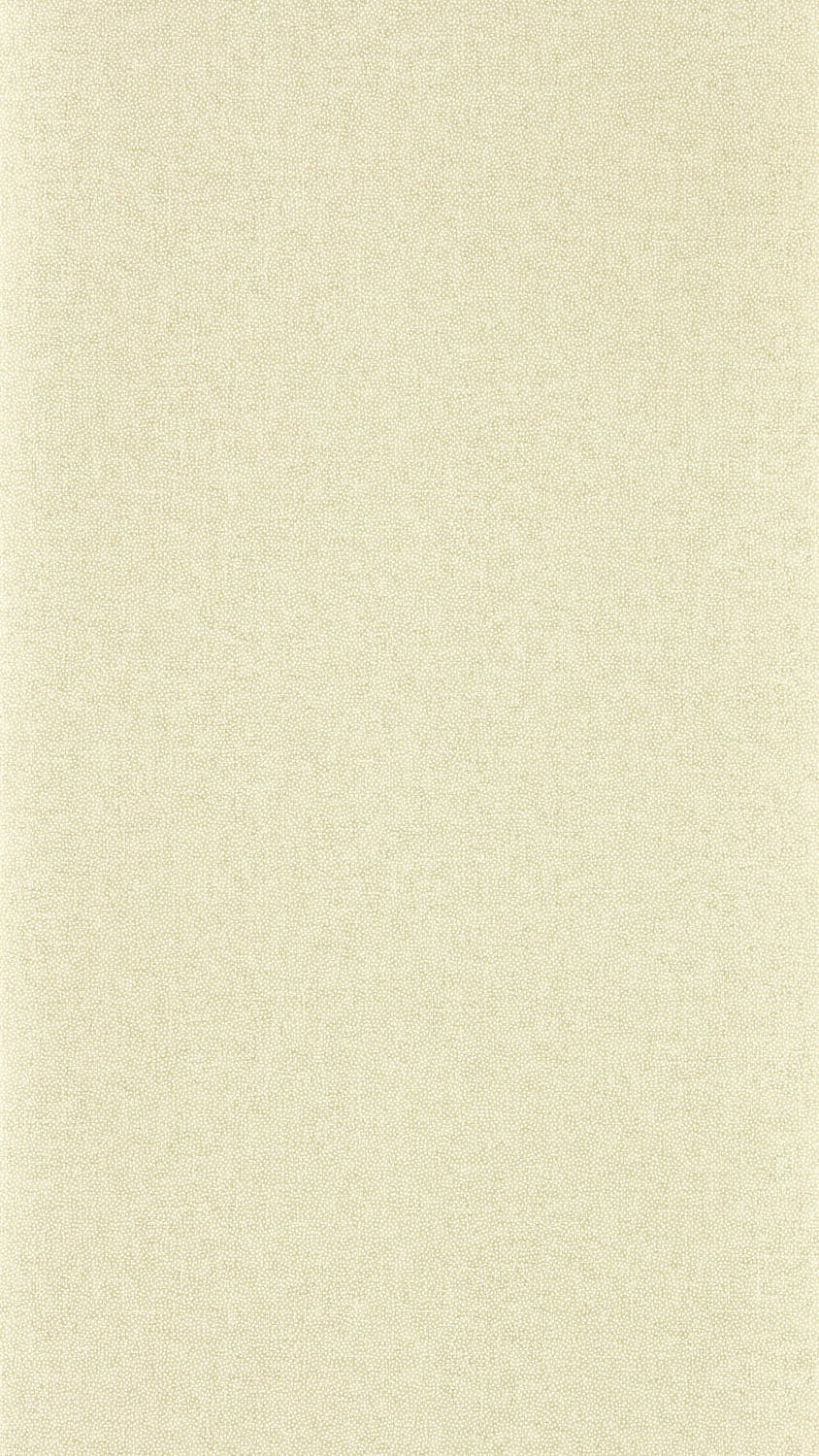 Sanderson - Sessile Plain Birch/Multi Arboretum Wallpapers