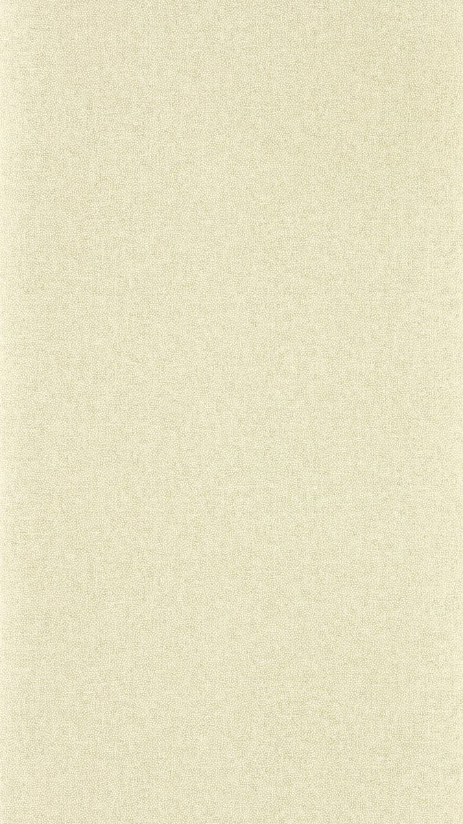 Sanderson - Sessile Plain Birch/Multi Arboretum Wallpapers