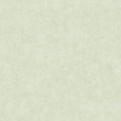 Caselio - Beton Uni Vert D'Eau Beton 2