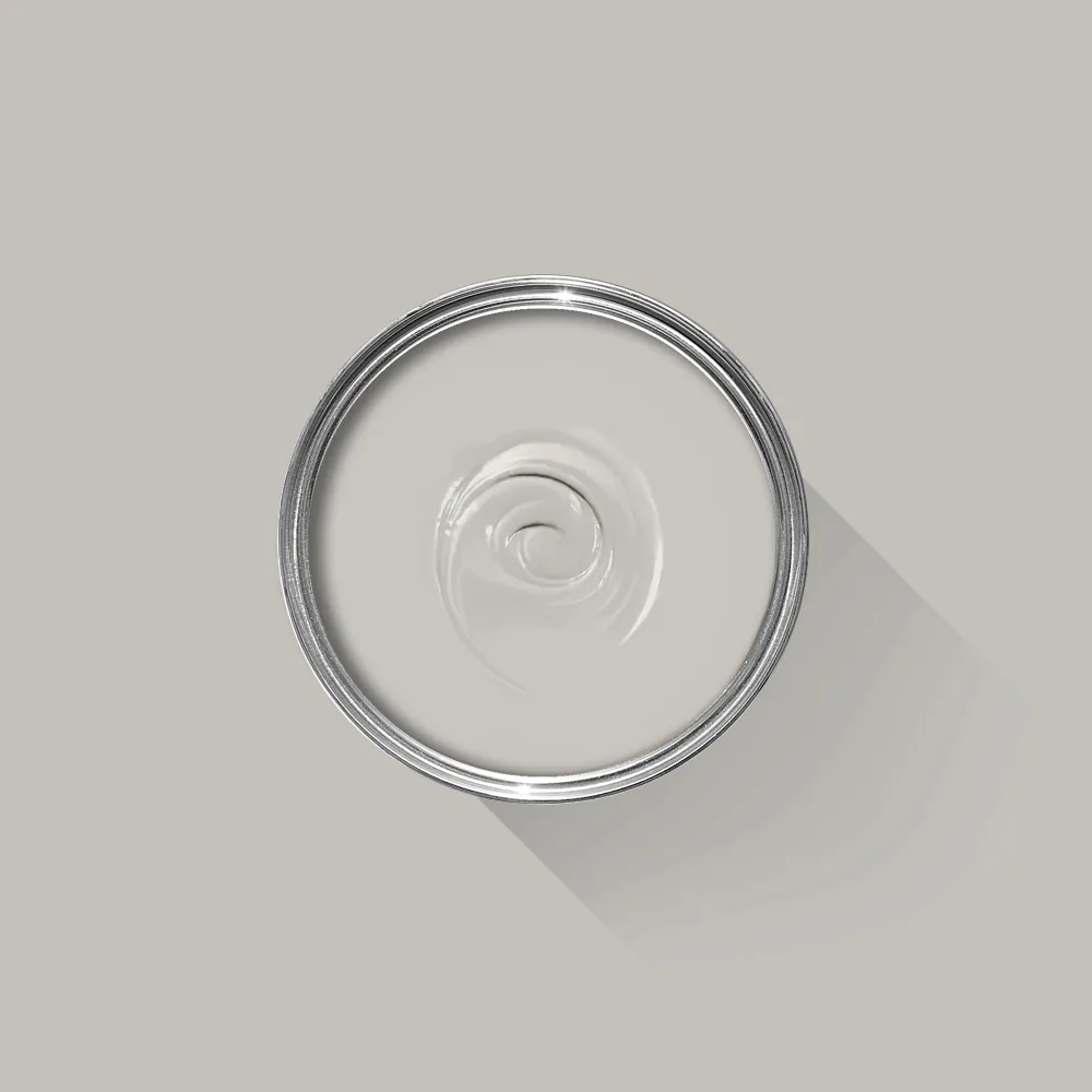 Pavilion Gray 242 - F&B Dead Flat 2,5 L
