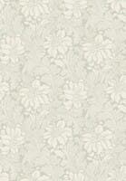 Acanthus - Vårt Arkiv