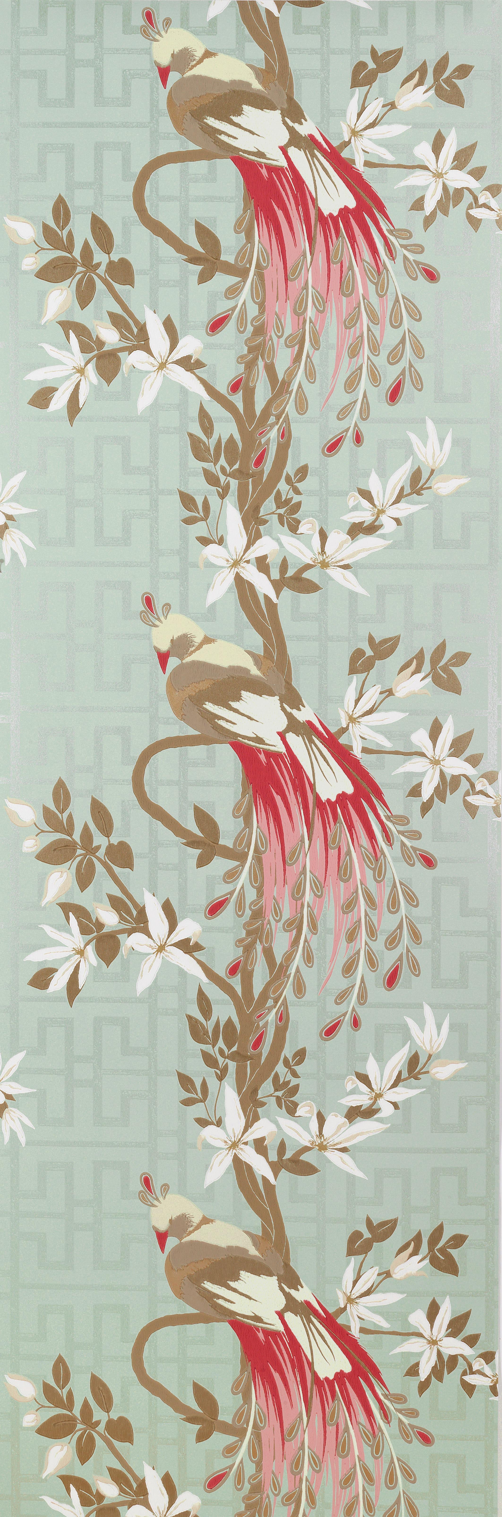 Nina Campbell - Paradiso 