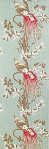 Nina Campbell - Paradiso