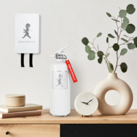 Brandsläckare 2 kg Vit/Silver