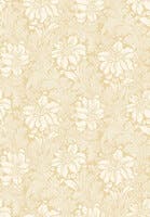 Acanthus - Vårt Arkiv