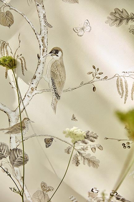 Sanderson - Woodland Chorus Sepia/Neu Country Woodland Wallcove