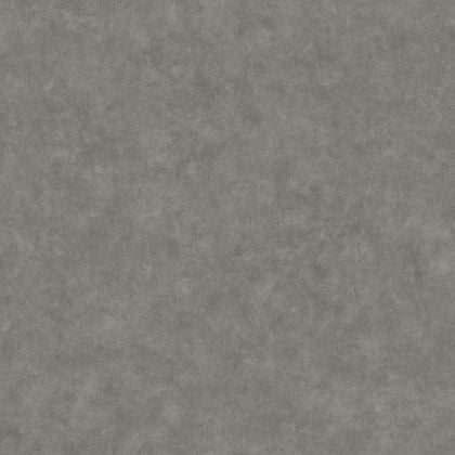 Caselio - Beton Uni Ardoise Beton 2