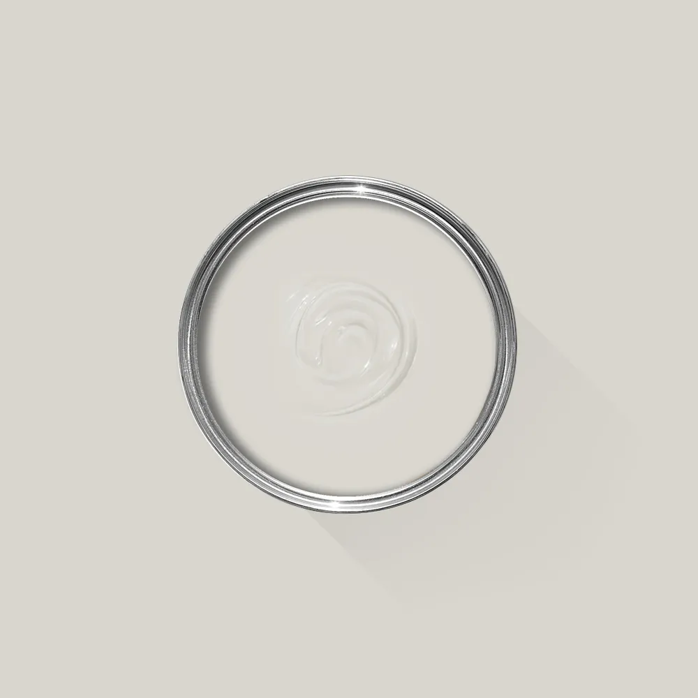 Ammonite 274 - F&B Dead Flat 2,5 L