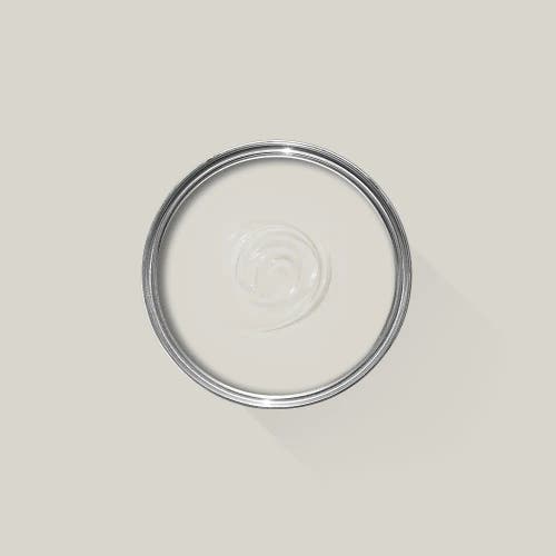 Ammonite 274 - F&B Dead Flat 2,5 L