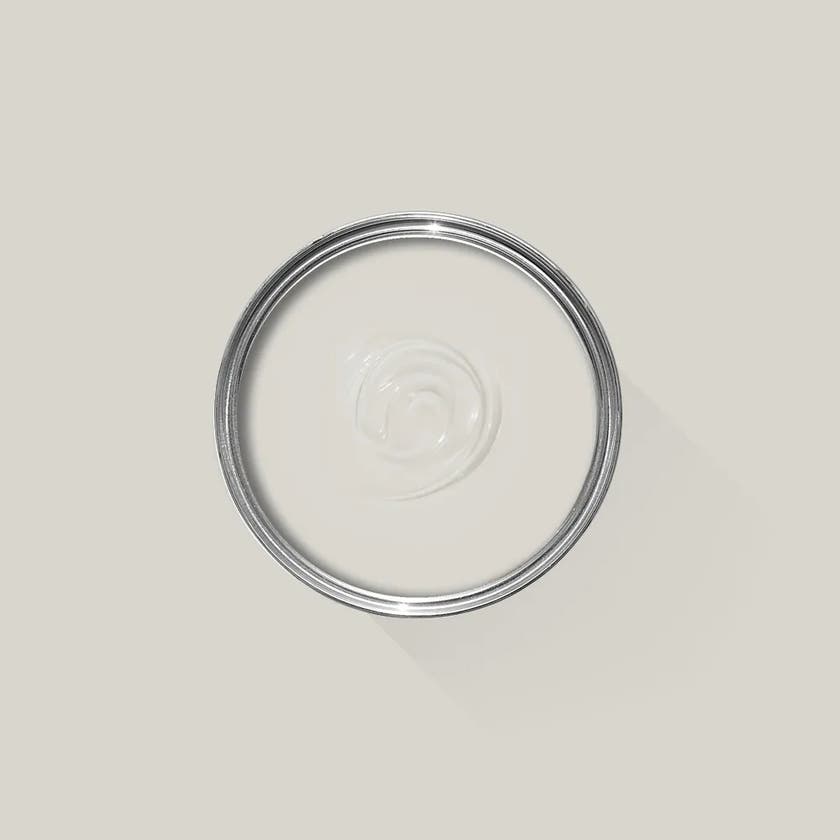 Ammonite 274 - F&B Dead Flat 2,5 L