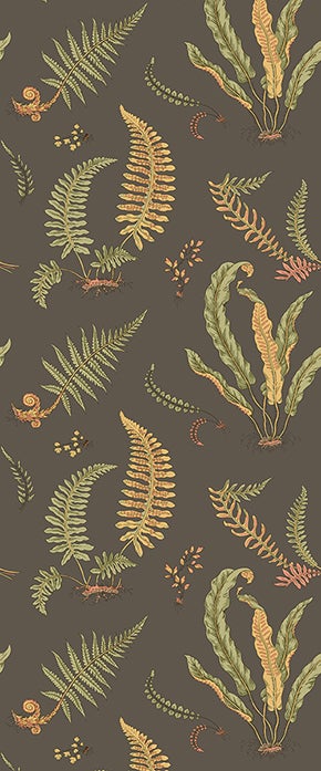 GP&J Baker - Original Ferns Charcoal BW45122-5