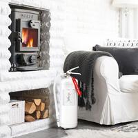 Brandsläckare 6 kg Vit/Silver