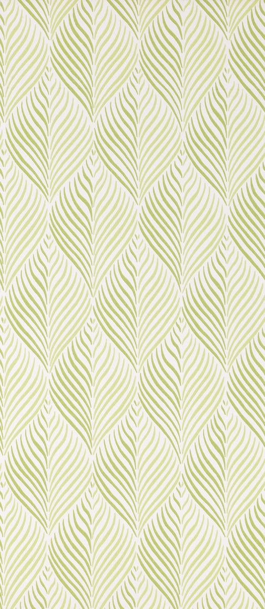 Nina Campbell - Colbert Green/Ivory