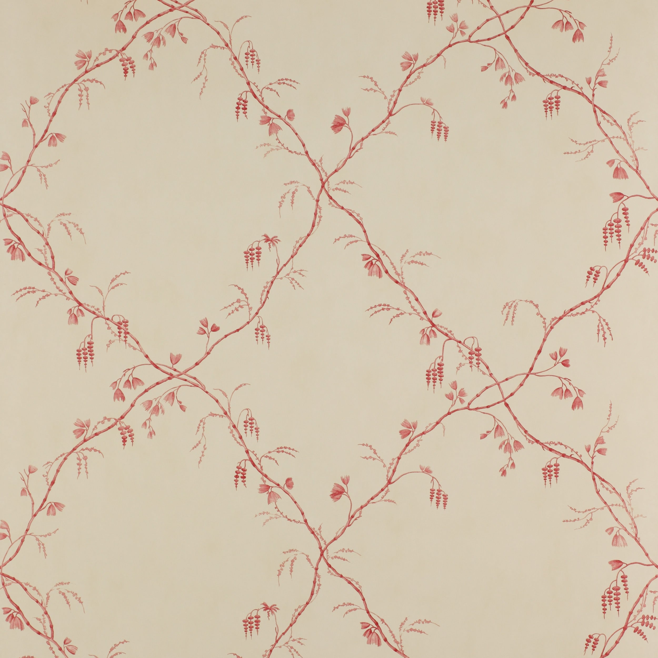Colefax and Fowler - Roussillon Red