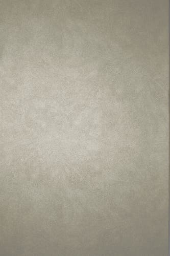 Osborne & Little - Mako Taupe