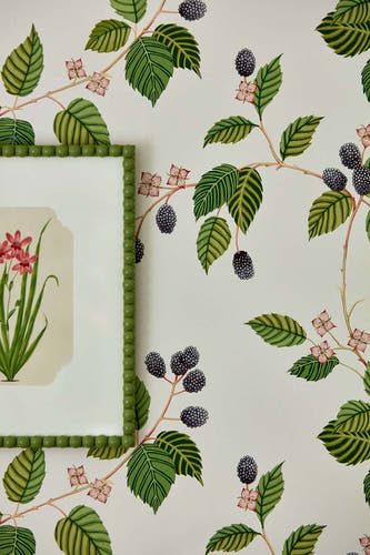 Sanderson - Rubus Blackberry Arboretum Wallpapers