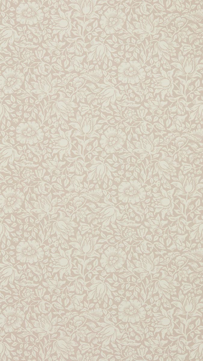 Mallow Dusky Rose Melsetter Wallpapers