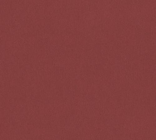 Intrade - Dream Flowery