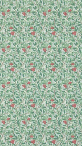 Morris & Co - Arbutus Thyme/Coral Morris and Friends Wallpa