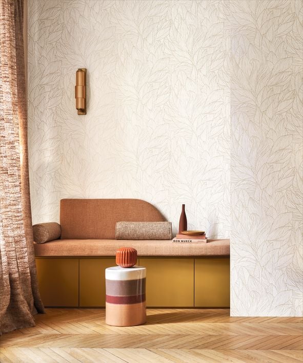 Casamance - Hosta Ivoire/Doré Jardin Félicia