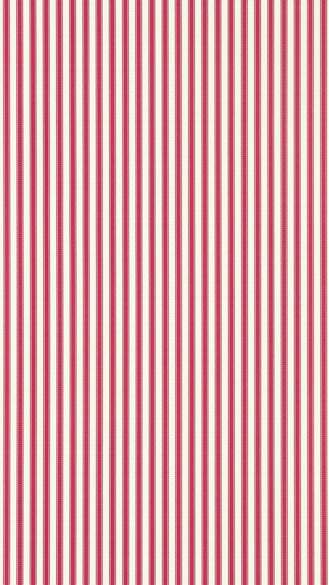 Pinetum Stripe Mulberry Arboretum Wallpapers