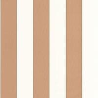 GOLDEN LINES CUIVRE BASICS