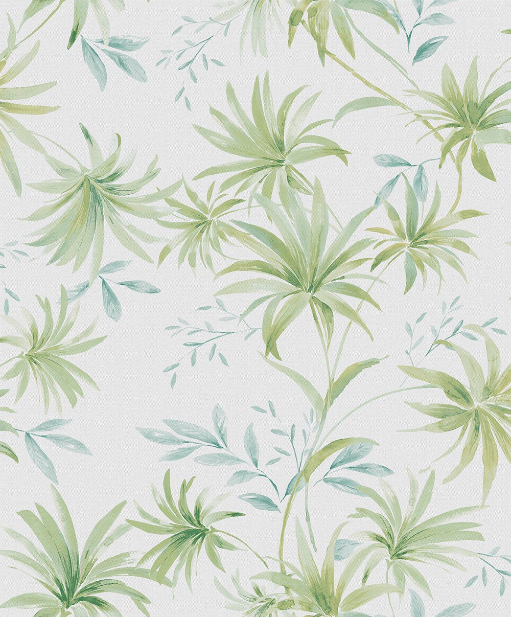 Caribbean II Umbrella Palm