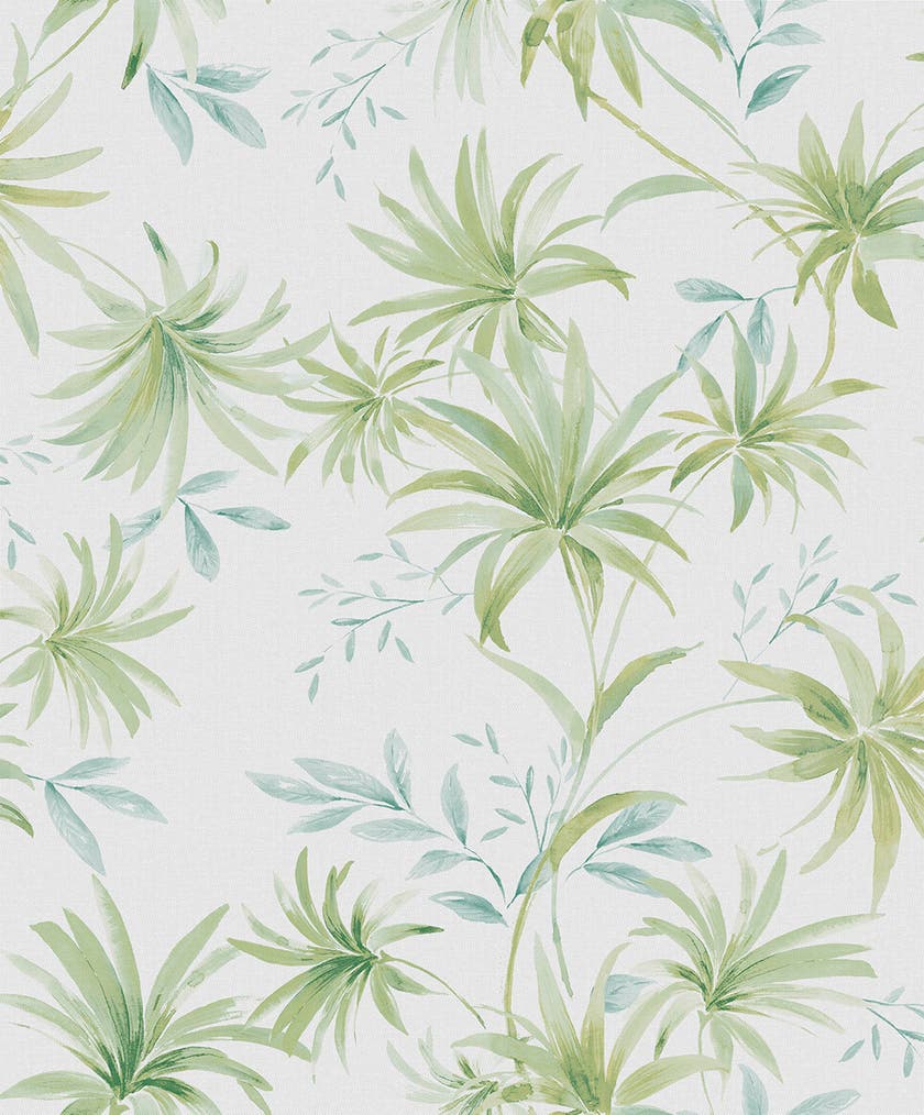 Caribbean II Umbrella Palm