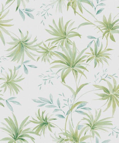 Caribbean II Umbrella Palm