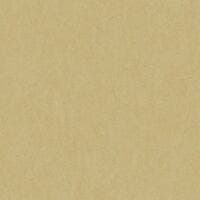 COTTON TOUCH BEIGE CAMEL COTTON TOUCH