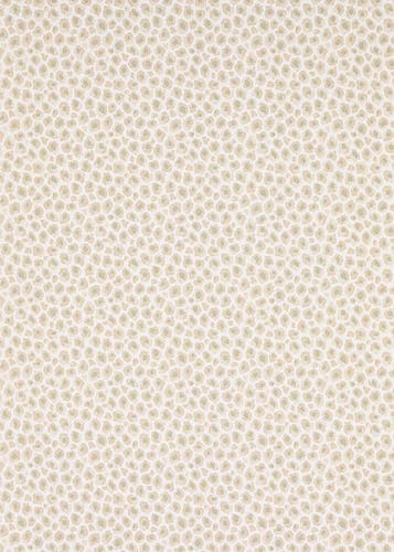 Jane Churchill - Cleo Taupe