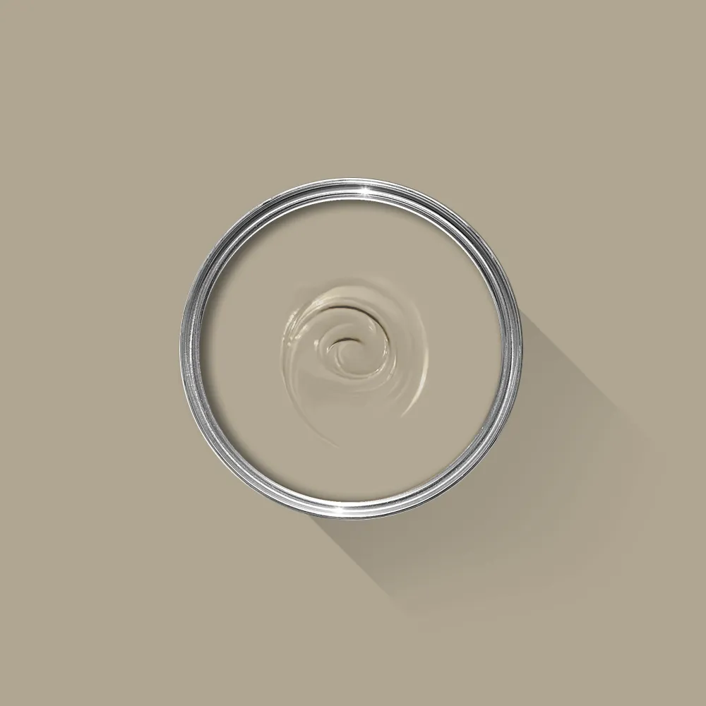 Light Gray 17 - F&B Dead Flat 2,5 L